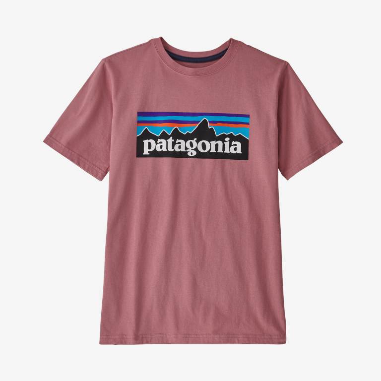 Camiseta Patagonia Kids\' Regenerative Organic Certifiedâ„¢ Algodon P-6 Logo Niños Rosas Claro | A36GcXlb