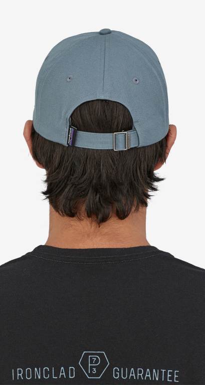 Gorras Patagonia P-6 Label Trad Unisex Grises | nTFhxqde