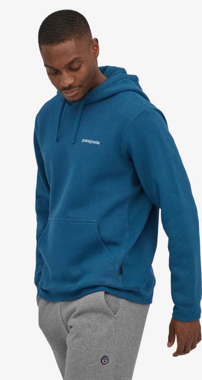 Sudadera Con Capucha Patagonia Fitz Roy Icon Uprisal Unisex Azules | qwvNQnhQ