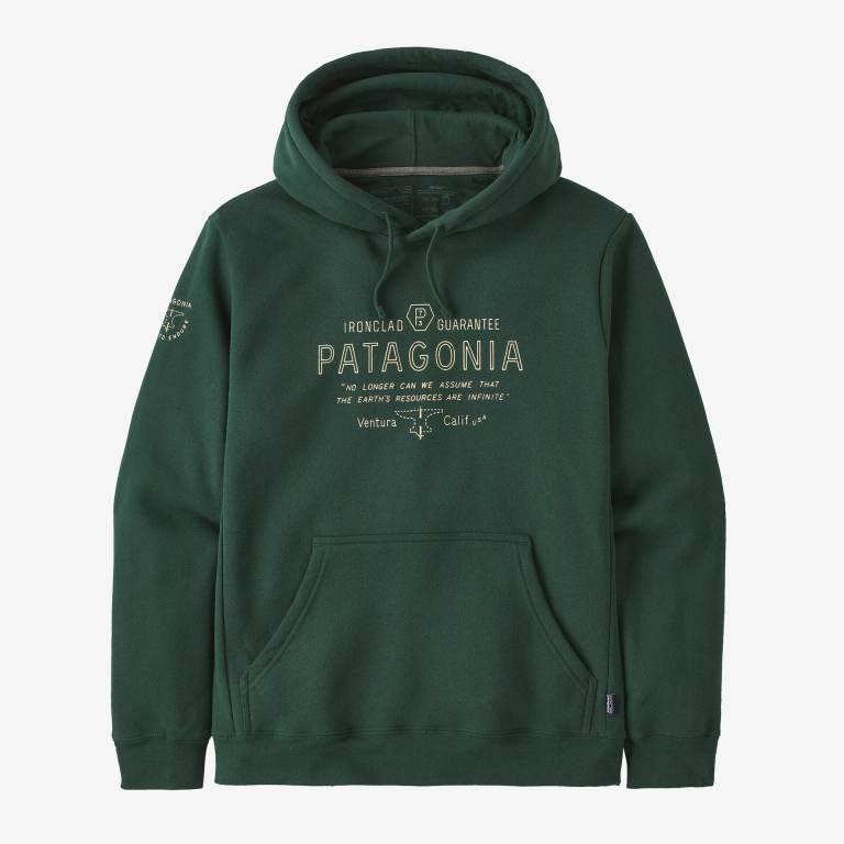 Sudadera Con Capucha Patagonia Forge Mark Uprisal Unisex Verdes | tipCtqjC