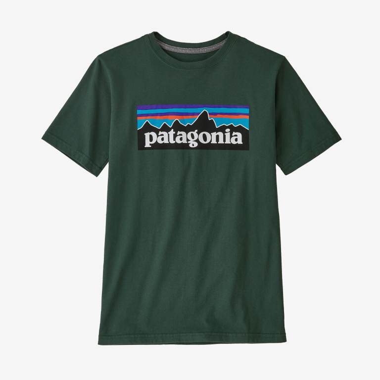 Camiseta Patagonia Kids' Regenerative Organic Certifiedâ„¢ Algodon P-6 Logo Niños Verdes | 5IPs8rDp