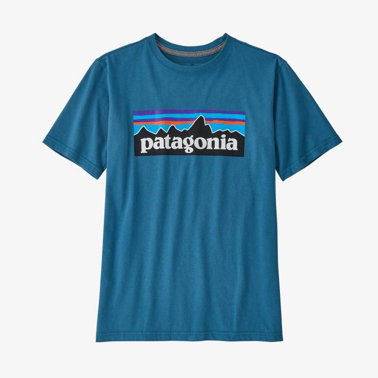 Camiseta Patagonia Kids' Regenerative Organic Certifiedâ„¢ Algodon P-6 Logo Niños Azules | 9HoKfvkS