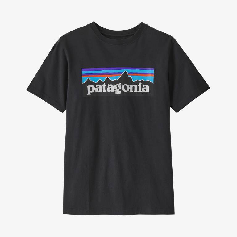 Camiseta Patagonia Kids' Regenerative Organic Certifiedâ„¢ Algodon P-6 Logo Niños Negros | NiVj4G4Q