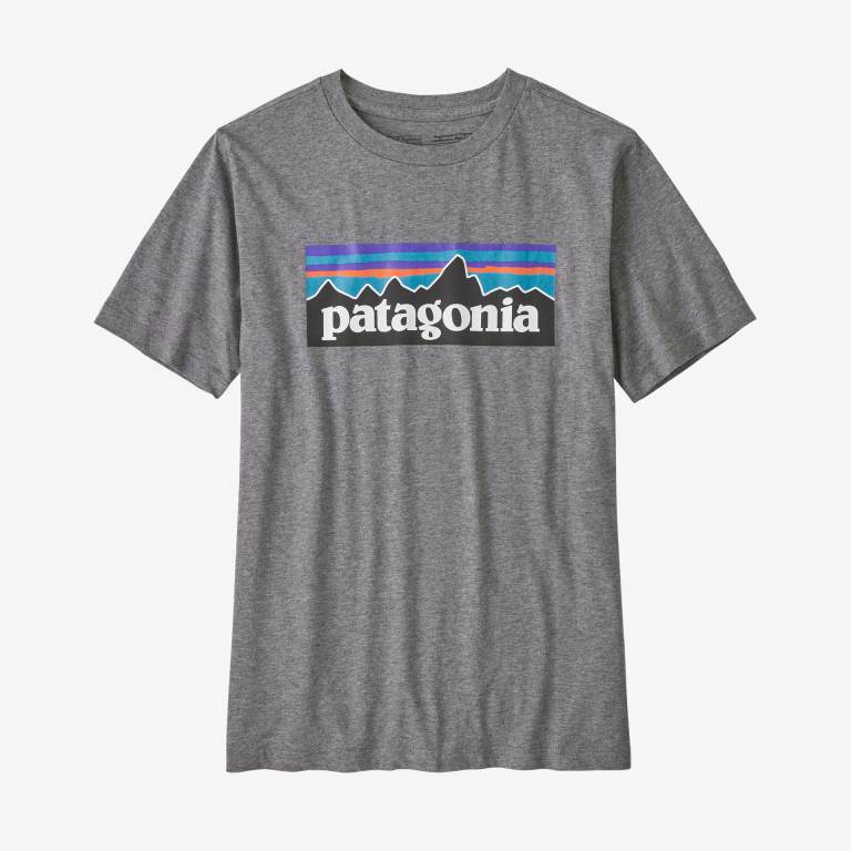 Camiseta Patagonia Kids' Regenerative Organic Certifiedâ„¢ Algodon P-6 Logo Niños Blancos | WmfBtKV5