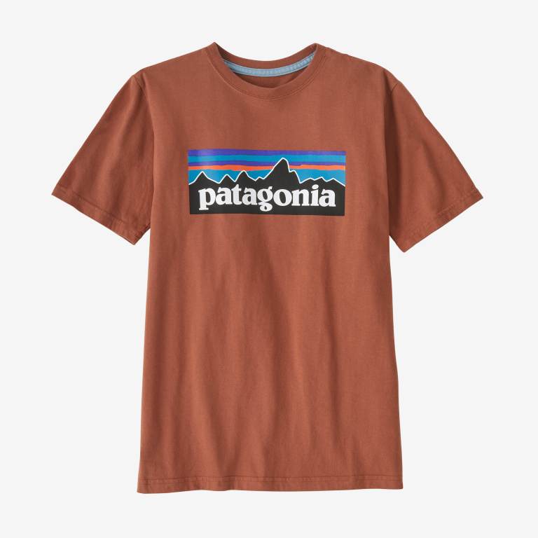 Camiseta Patagonia Kids' Regenerative Organic Certifiedâ„¢ Algodon P-6 Logo Niños Marrom | ghiIOXVa