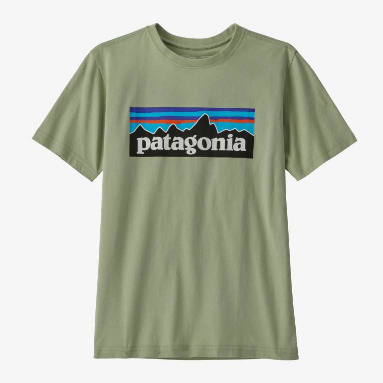 Camiseta Patagonia Kids' Regenerative Organic Certifiedâ„¢ Algodon P-6 Logo Niños Verdes | jVV1YVD3